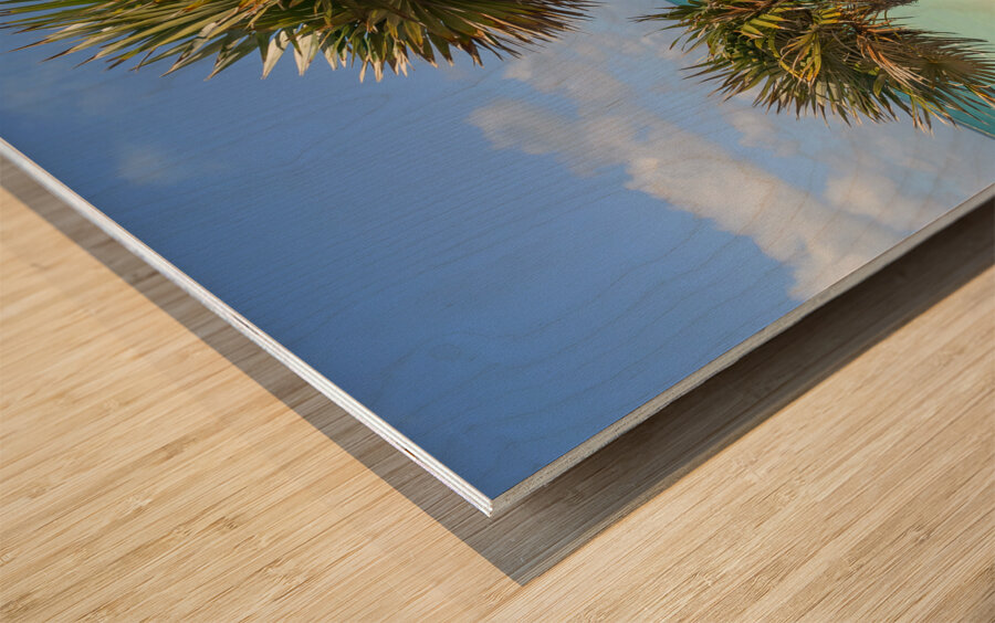 2 palms on Cuban dunes Wood print