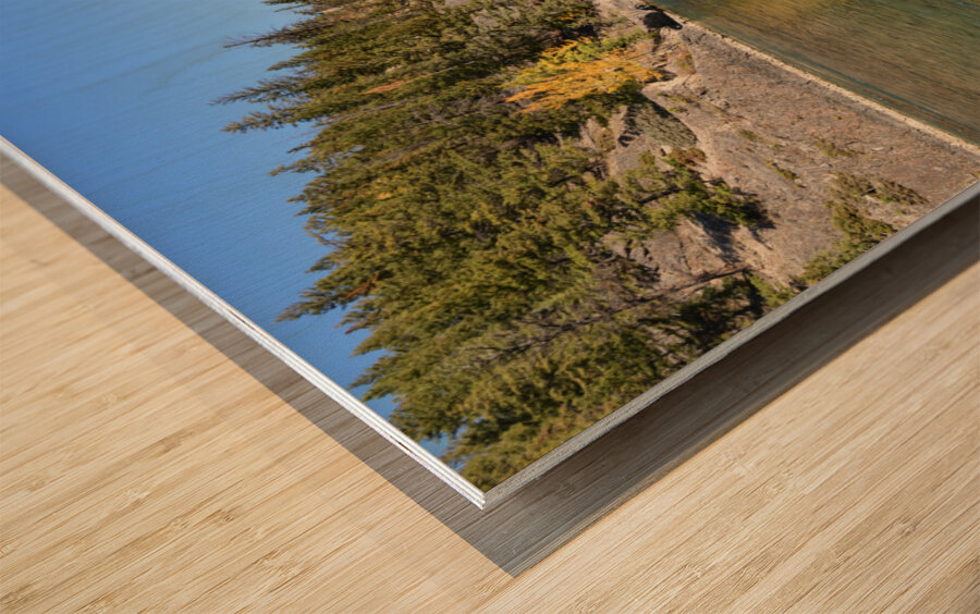 Banff Bow River shore and mountains Wood print