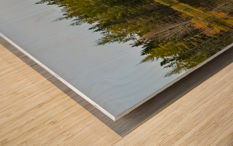 Bird sanctuary pond reflection Wood print