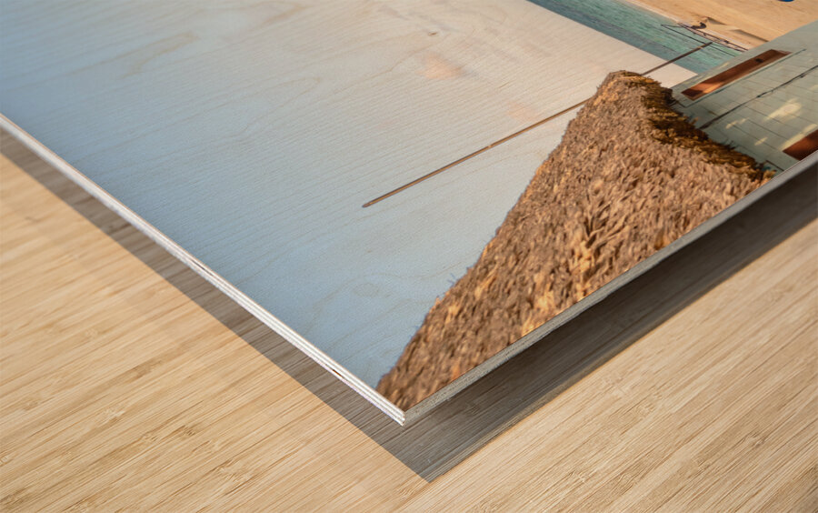 Cuban Beach Arrival path Wood print