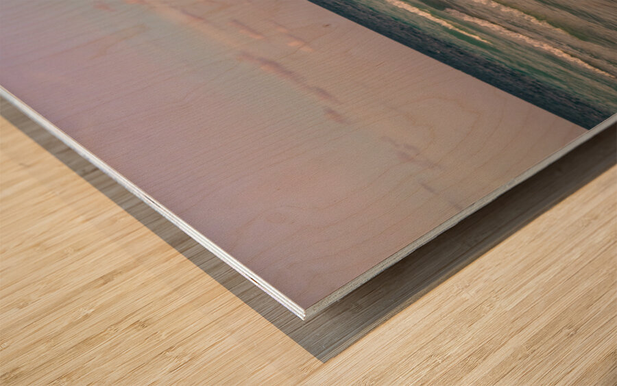 Cayo Coco beach sunset hour Wood print