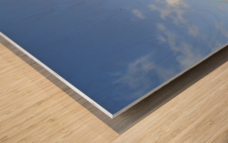 sand dune walk next to aqua ocean Wood print