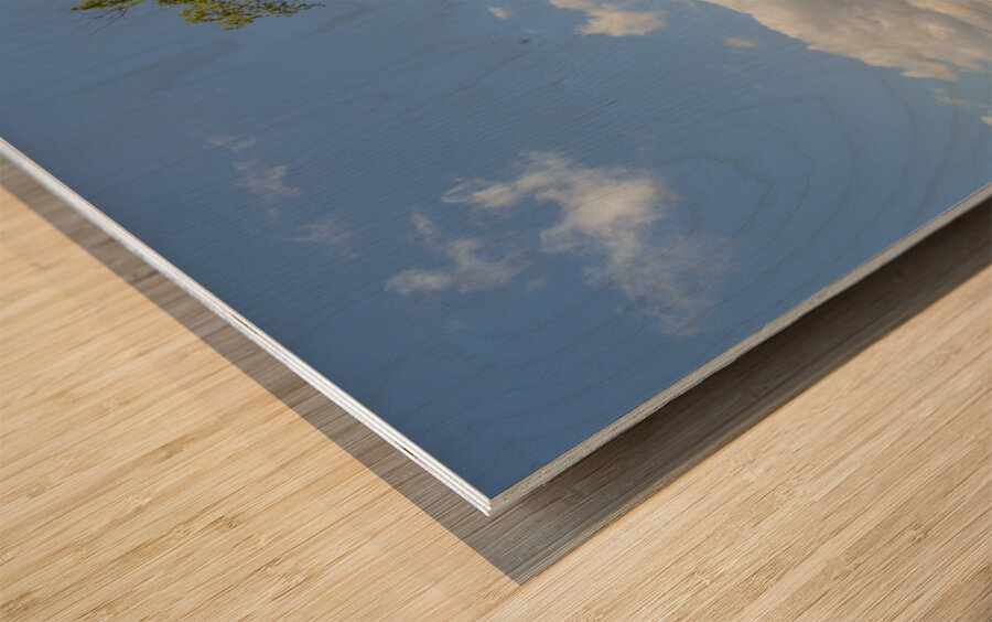 hopewell rock head silhouette-2 Wood print