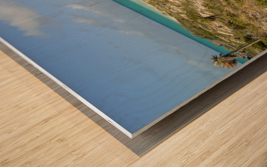 Cuban Dune View Ocean Wood print