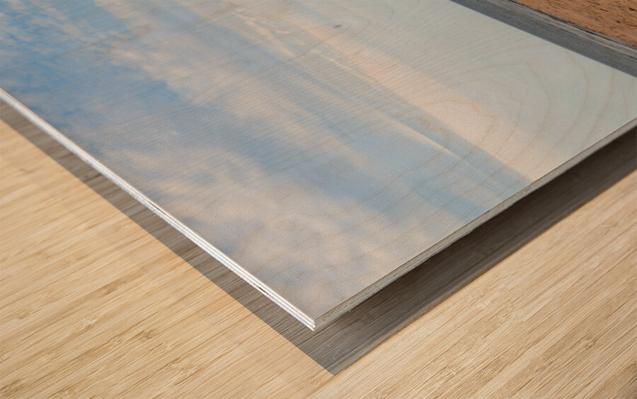 Greenwich beach driftwood art Wood print