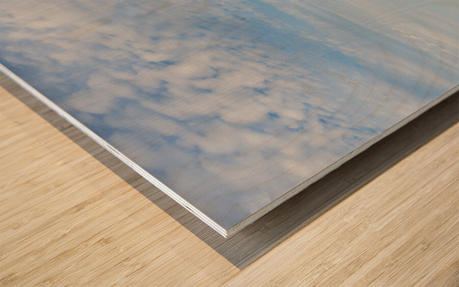 Greenwich beach driftwood art 4 Wood print