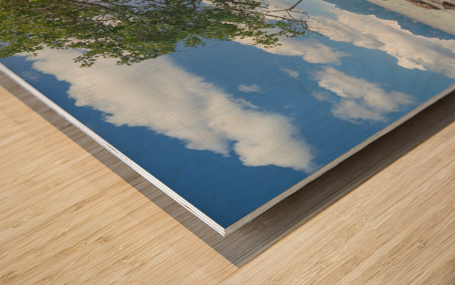 ko phi phi island view Wood print