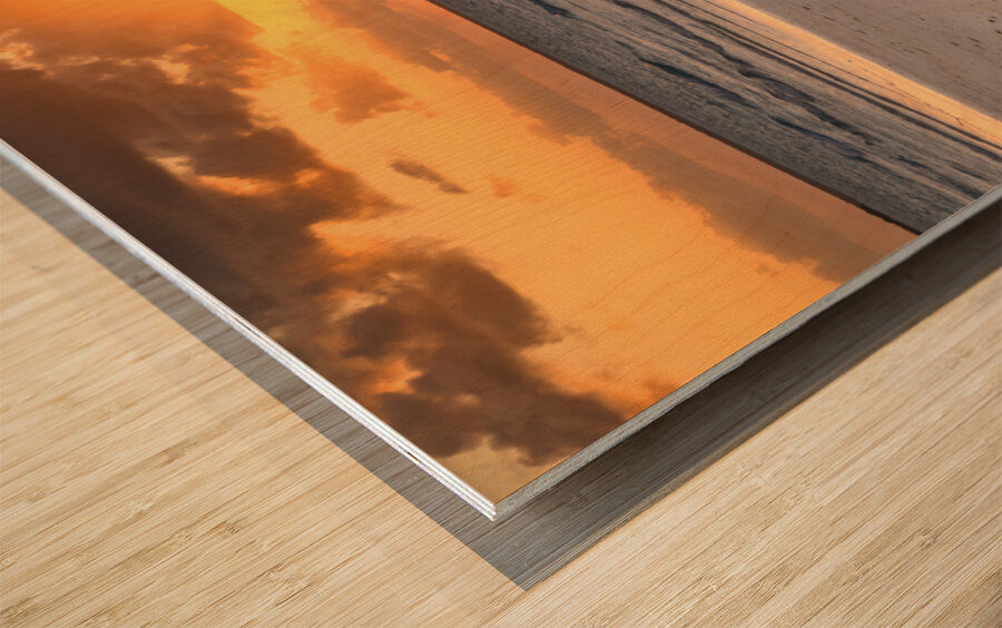 Caribbean driftwood sunset Wood print