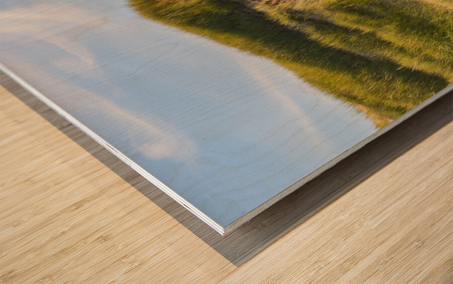 Greenwich grass dune on sky background Wood print