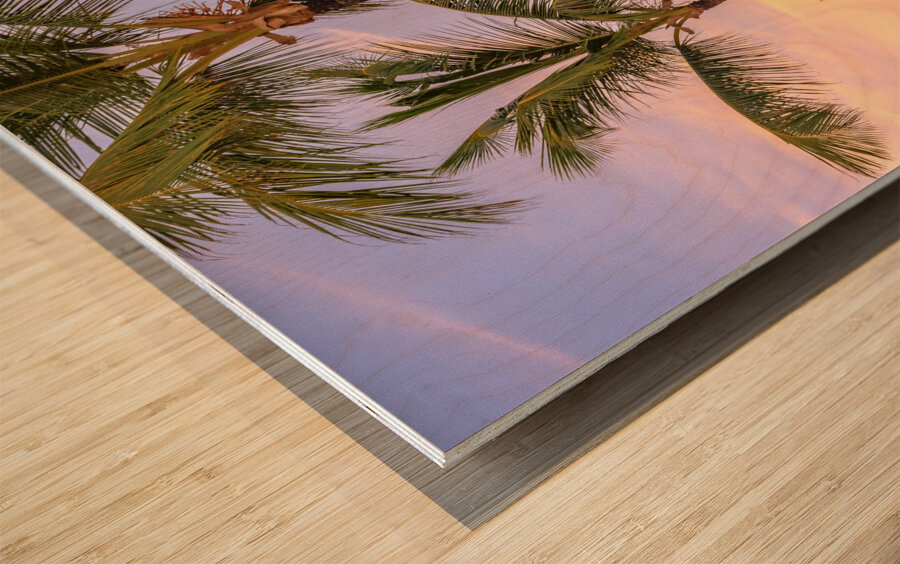 Palmtrees on coloured sky with moon Wood print