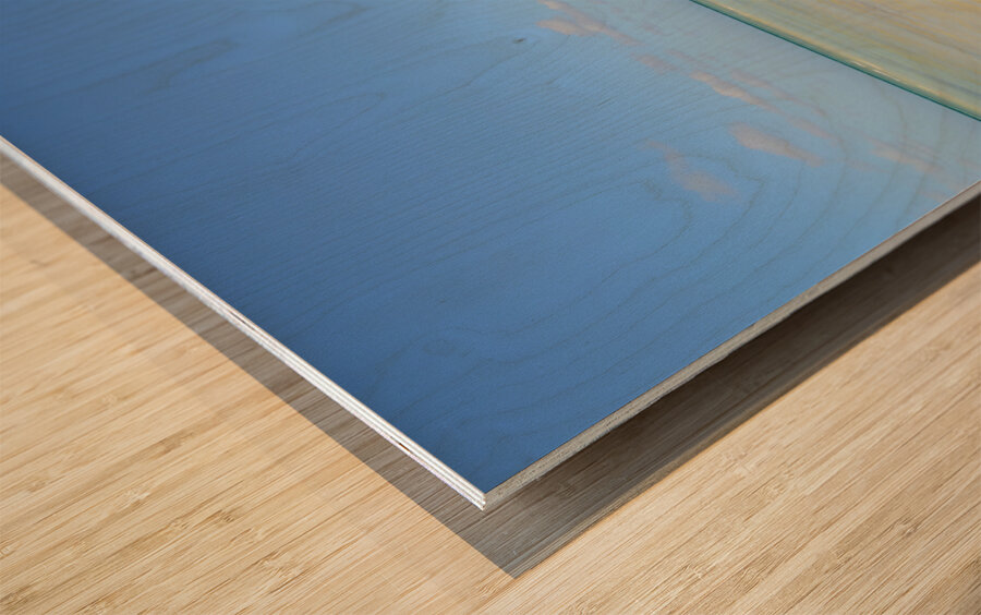 Mangrove on Cuban beach Wood print