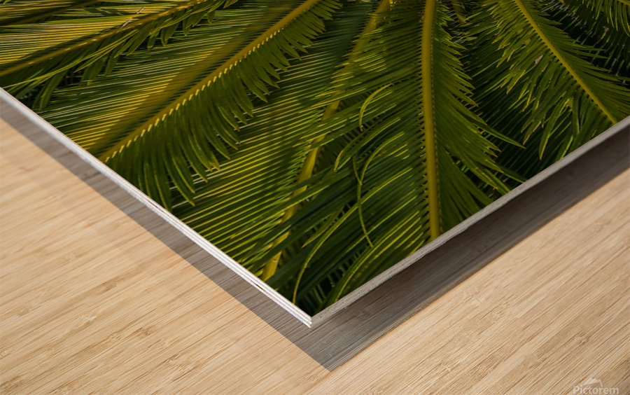 tropical plant center Wood print