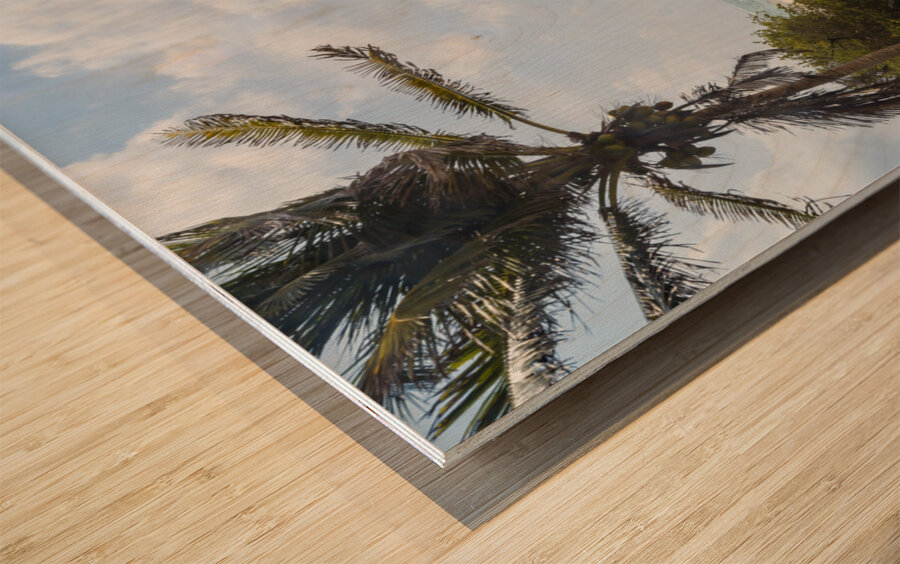 Tulum beach ocean view 3 Wood print