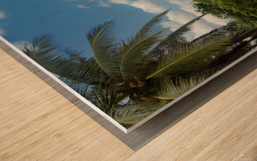 Ya-Nui beach lookout Wood print