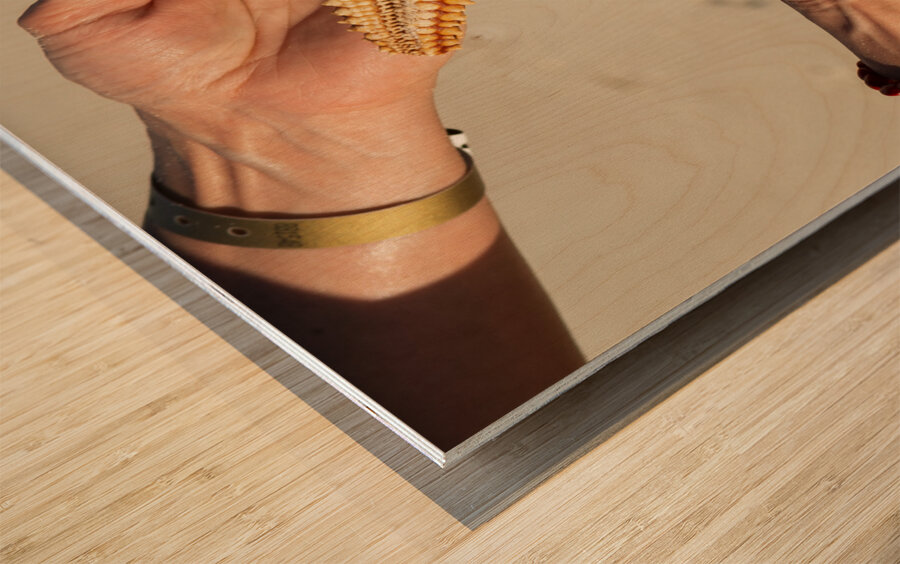 Starfish in womans hands Wood print