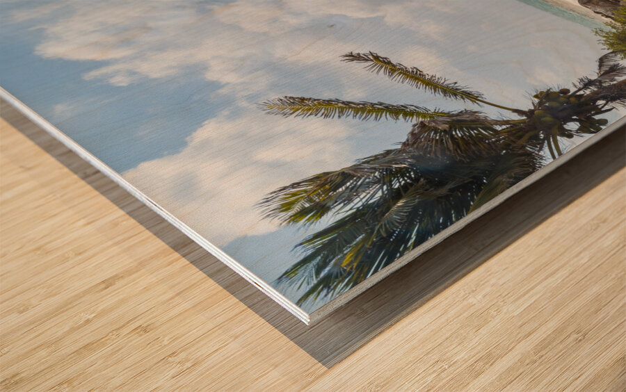 Tulum beach ocean view 2 Wood print