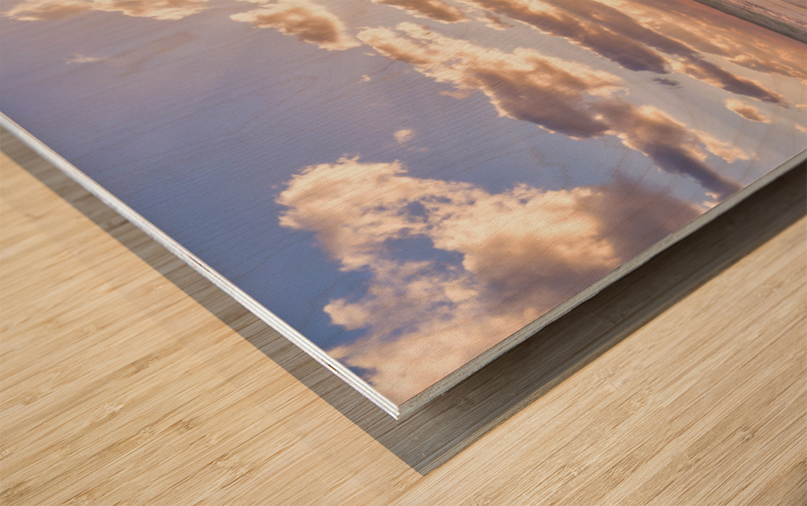 Cuban beach sunrise tiny seaweed Wood print